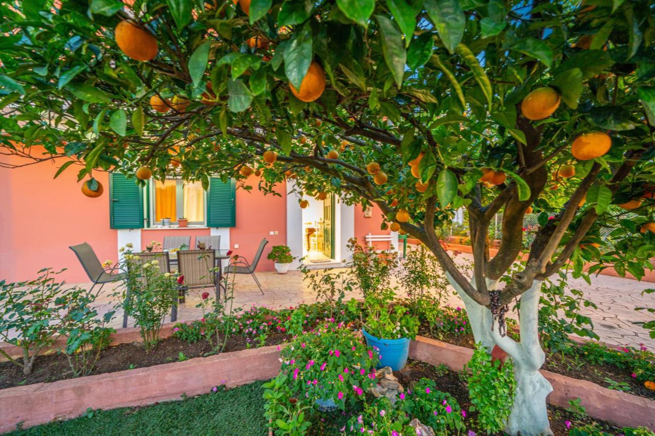 Artemis Superb 2 Bedroom Apartment 700 M Away From The Beach Minia Exterior foto