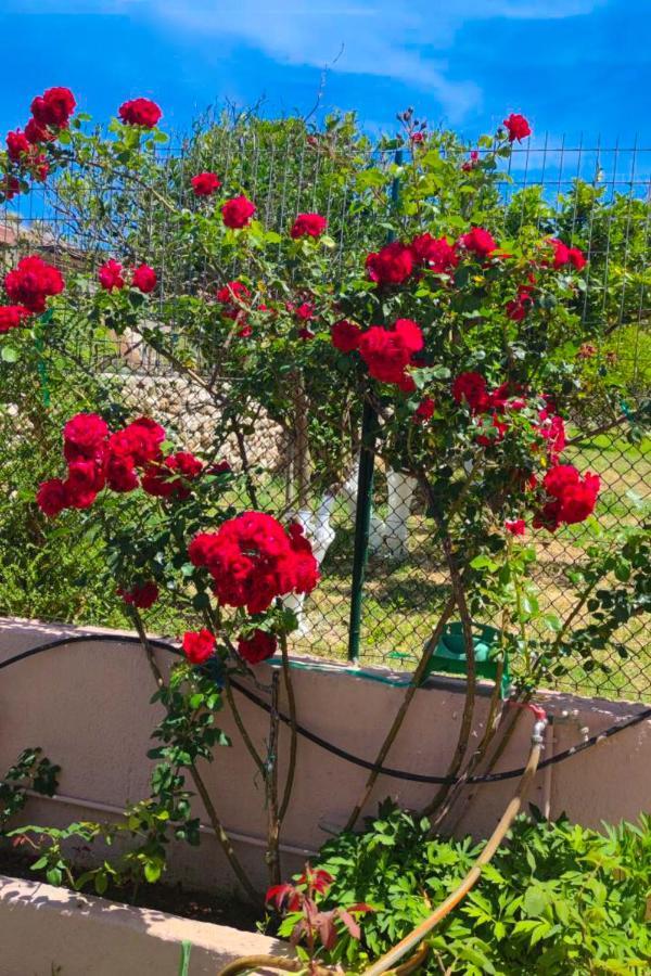 Artemis Superb 2 Bedroom Apartment 700 M Away From The Beach Minia Exterior foto
